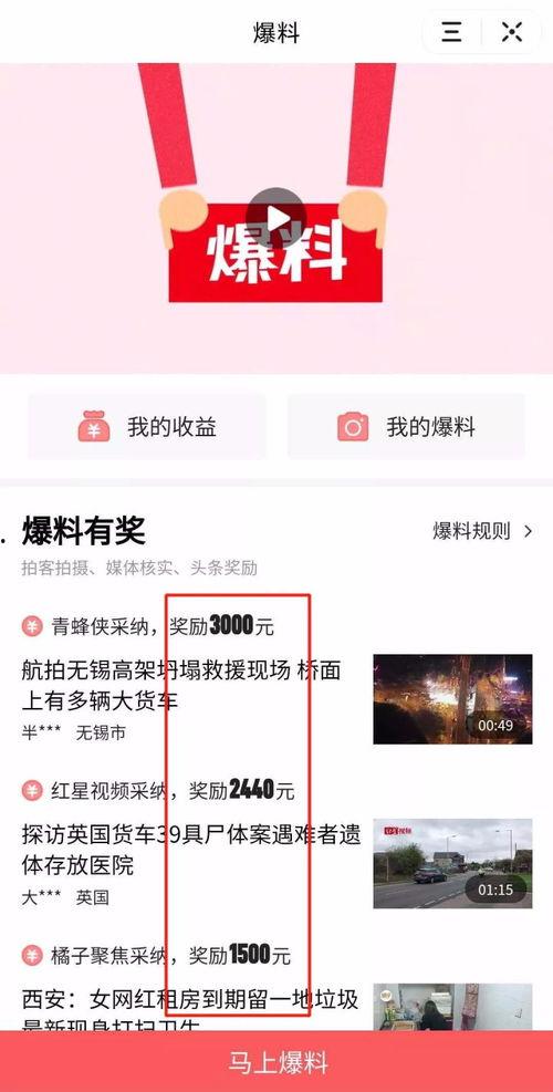 最新版头条爆料,揭秘最新爆料背后的惊人真相！