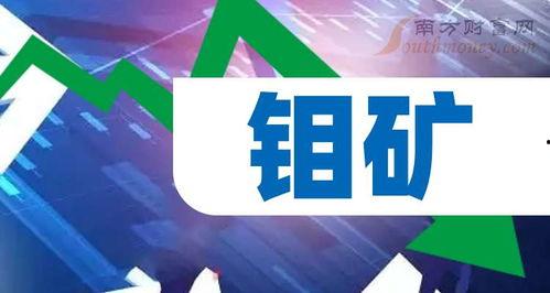 国城矿业最新爆料新闻,揭秘重大投资动态与市场影响